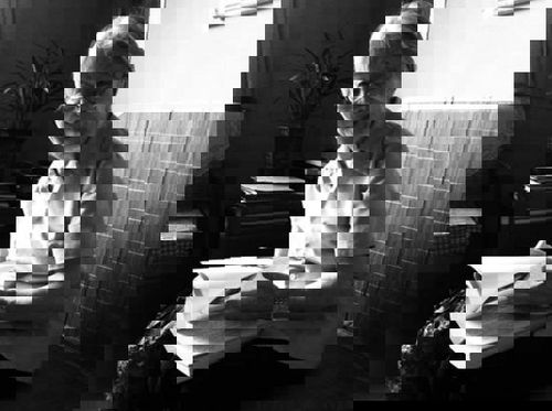 杨绛晚年自述谈钱锺书：偶然相逢却好像姻缘前定