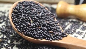 腰痛就是肾虚吗？养肾必读的“三字经”