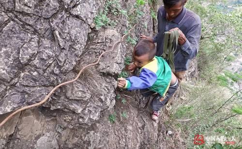 悬崖村孩子告别爬藤梯3