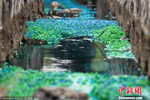 资料图。 李康 摄 图片来源：CFP视觉中国