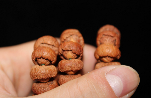 QQ图片20160527160200