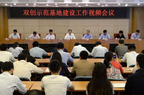 双创示范基地建设视频会议