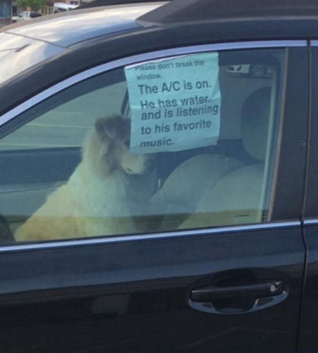 中新网5月31日电