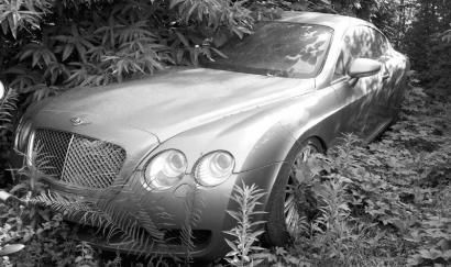 被杂草掩埋的宾利车。