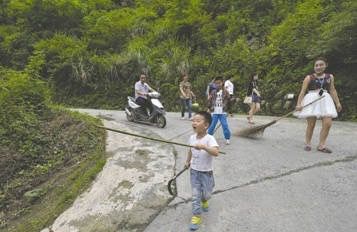 都江堰上百条放生蛇“上街”，