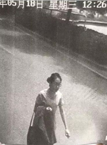 景区监控视频显示，5月18日中午，陈某某到达天门山景区。