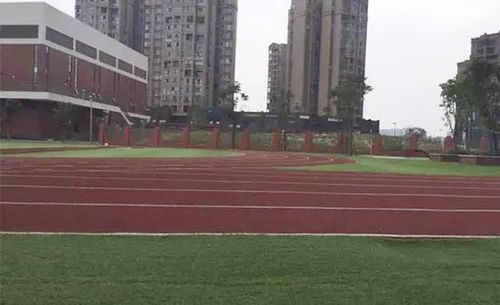 成都教科院附小的操场跑道，多位到过学校的家长反映，跑道和教室均有刺鼻的味道。