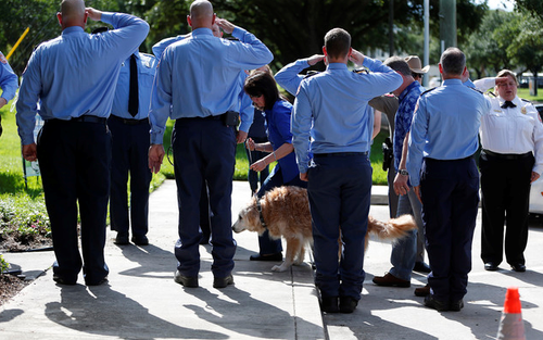 在德州的一家兽医医院，Bretagne接受了安乐死。在进入医院前，当地的消防员志愿者对他进行夹道送行并敬礼。Bretagne患有肾衰竭，并且停止进食。 图片来源：综合