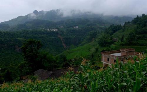 云南反思村民“盲井”式犯罪：从上到下的丑事