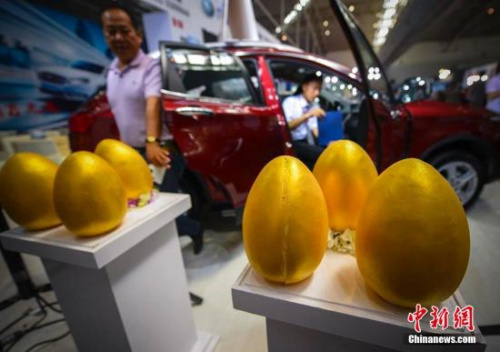 资料图。刘新 摄