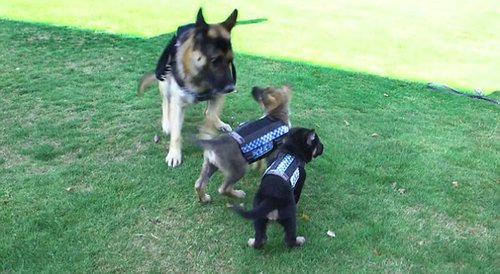 图为现场。1