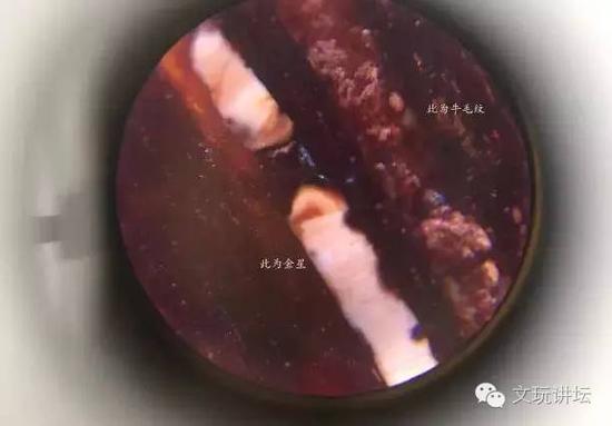 这是真金星和牛毛纹的对比，牛毛纹为一种雾化状，而金星是充实感