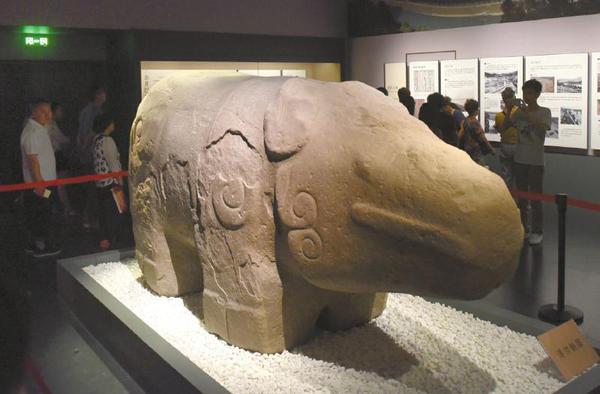 天府广场出土的石犀牛在展厅与市民见面。