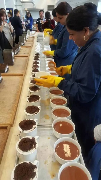 参观英国塔特利茶厂