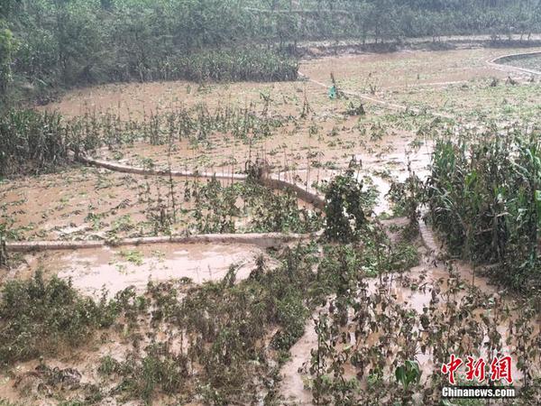 四川叙永遭遇58年来最大洪水 4