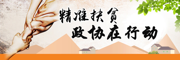 精准扶贫 政协在行动