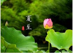 今日夏至 夏至之后日常养生有何妙招？