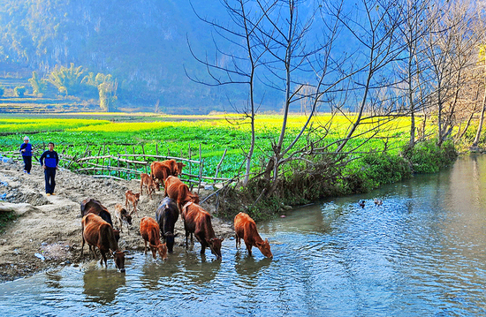 世外桃源，早已来到你的身边