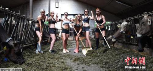 当地时间2016年6月22日，德国Apfeldorf，当地女性拍摄2017年“巴伐利亚农民之妻”日历。