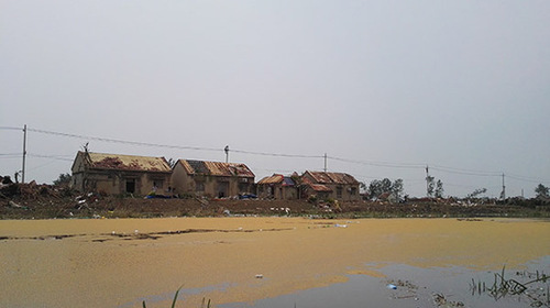 大片小麦漂浮在小洋河上，向东流去。