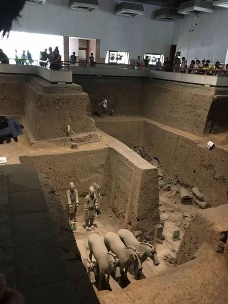 大妈跳进兵马俑坑内捡拾水杯