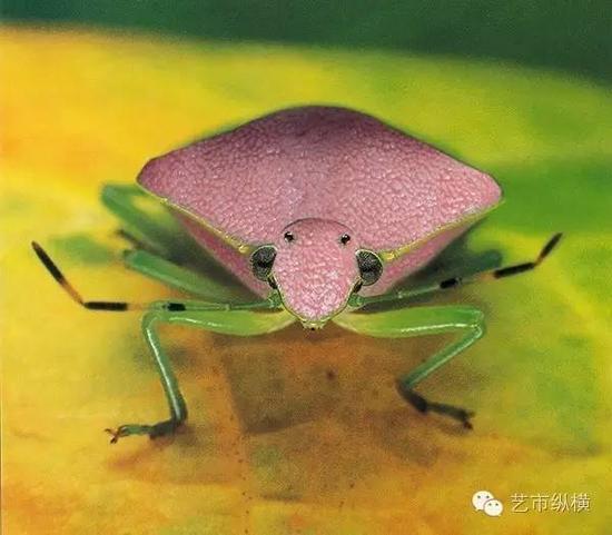 李山 《重组》 80X60cm