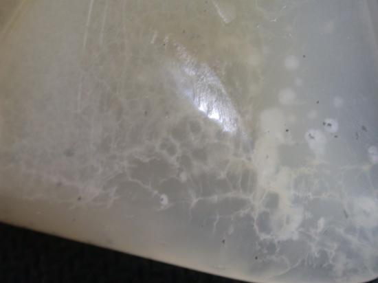 寿山高山石中的萝卜丝纹2