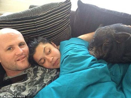 路易最喜欢的事就是和丹尼、艾玛一起躺在沙发上看电视。它通?；嵋蕾嗽谥魅嗣巧砩?，十分享受。