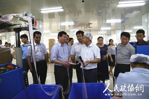 湖北孝感市政协组织视察回归创业工作