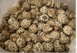 想要长寿吃什么 这些长寿方法人人可用