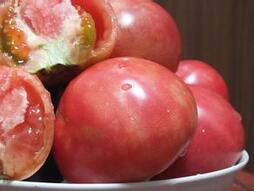 夏季多吃这六种红色食物 消暑又健康