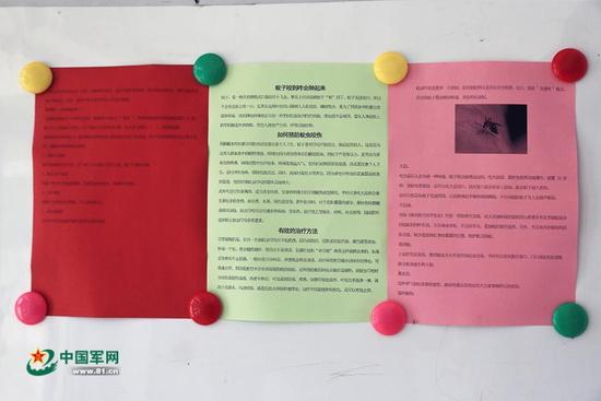 北湾边防连营区不同于别的营区，连队大厅内张贴的防蚊知识赫然醒目。