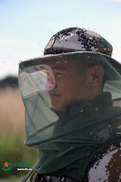 这就是“蚊虫王国”的特殊巡逻兵，一个大写的帅。