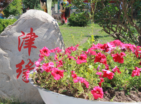 天津援建的尖扎县街心公园里立“津缘”离石