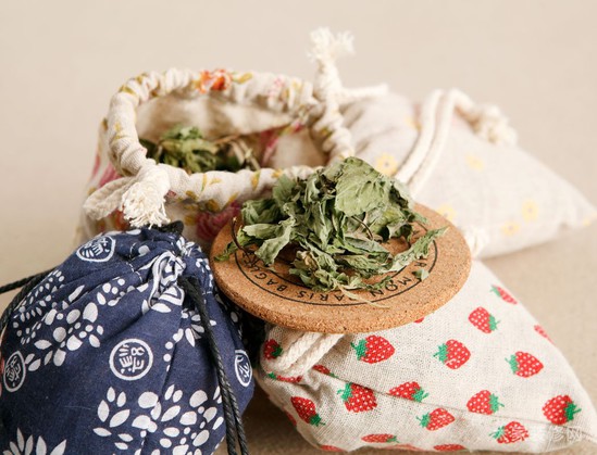 驱蚊八宝：夏季怎样让蚊子自觉远离你？