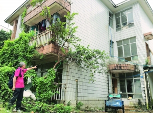 图片　　金伯告诉记者，新别墅建好后他在阳台前种了棵番石榴树。如今树已长成，但金伯却依然未能收楼入住。