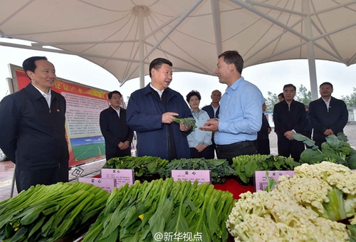 1119239676_14688895845491n