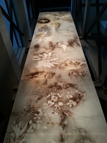 蔡国强 《巴西花鸟图》  火药、纸  2013年