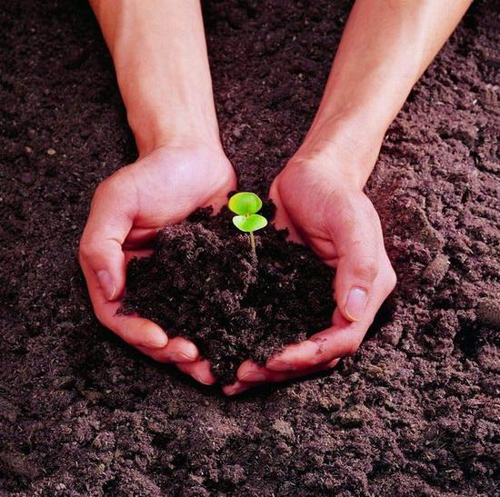 每天谈养生 真正的养生之道其实这么简单！