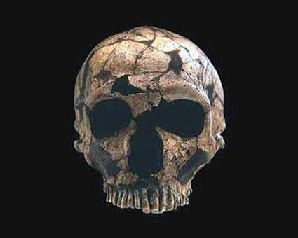 北京人头盖骨