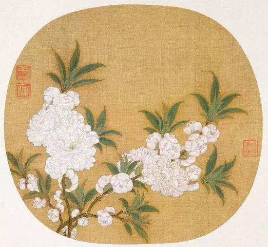 《杏花图》，宋，赵昌，绢本设色，25.2cm×27.3cm