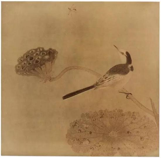 《疏荷沙鸟图页》 宋，绢本设色，纵25cm，横25.6cm
