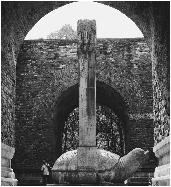 201161111502427 201161111502427