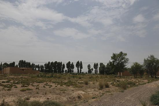 甘肃张掖农村婚恋调查:有的一家三光棍