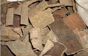 杜仲酒别随意喝！杜仲泡酒要注意这些