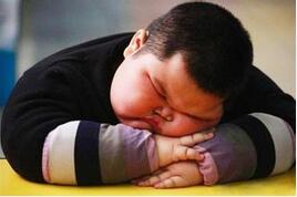 吃对了就能减肥？肥胖也是一种营养不良