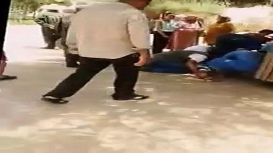 7岁女孩被象砸2