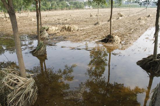 灾区大量农田被洪水冲毁