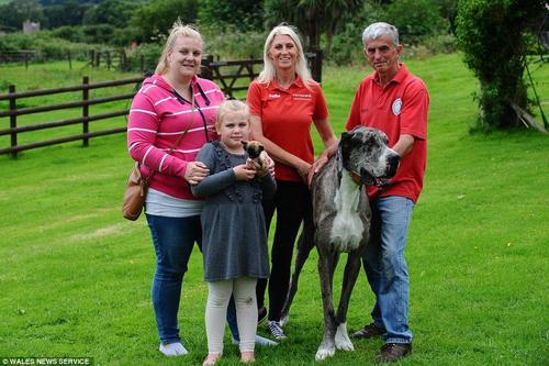 站在娜塔莉身边的是她6岁的女儿萨莫，她们与戴恩的主人威廉姆斯站在一起合影留念。