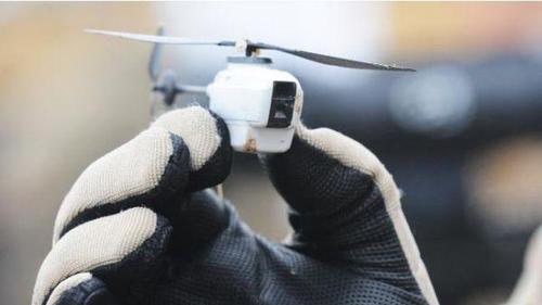 澳军批量采购微型无人机：重16克 长约10厘米(图)